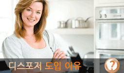 디스포저도입이유